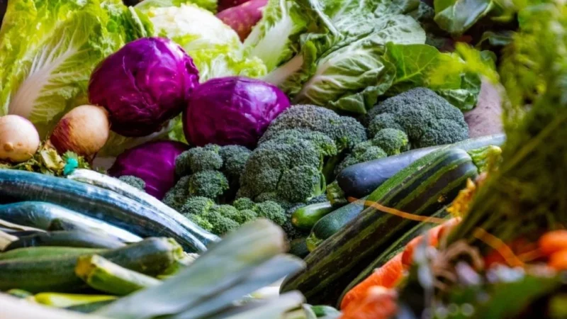 Conheça os três vegetais que podem ser aliados na prevenção do câncer de mama