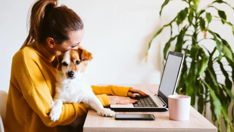 Trabalhar menos para viver mais: o que fazer com uma folga extra na semana